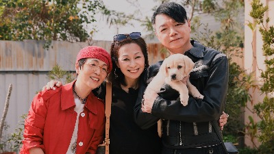又见爱人
