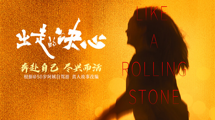 出走的决心👍️口碑佳作