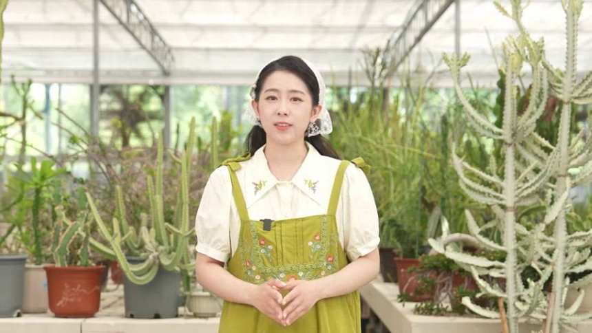 第4集 早安 飞龙的奇幻之旅