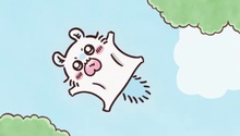 游泳