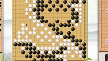不理会