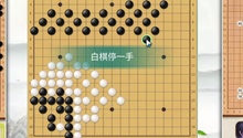 落子无悔