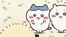 獭师露出被治愈的可爱表情