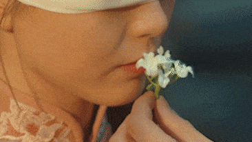 橘祥如意🍊