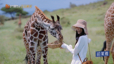 小伙小妹换游记