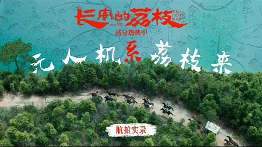 长安的荔枝 航拍实录