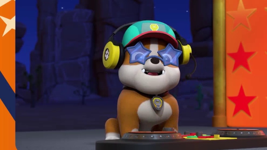 沙漠演唱会开唱，跟着狗狗们嗨起来！