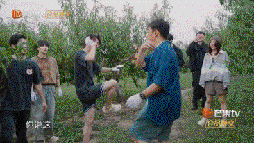 向往的生活·慢直播