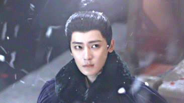 玉茗茶骨·冬至花絮