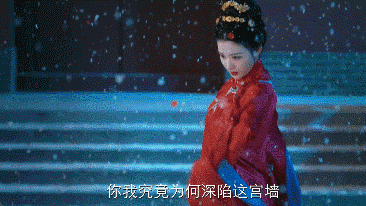 明月录🌕️首发预告