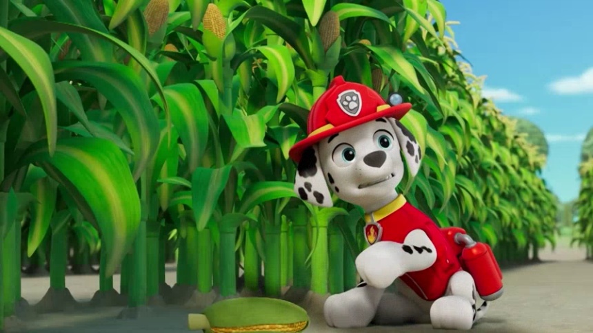 勇敢担当牧羊犬阿奇：智慧侦查，包在最棒的阿奇身上