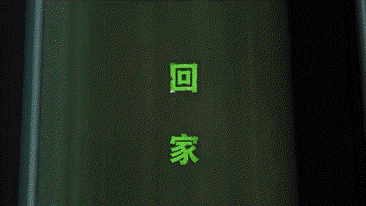 回家就是最好的年